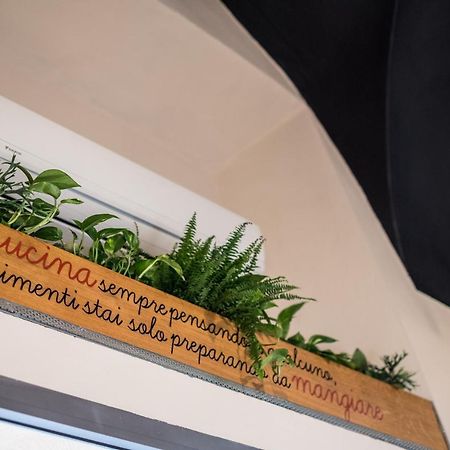 Duomo Guesthouse Piacenza Zewnętrze zdjęcie