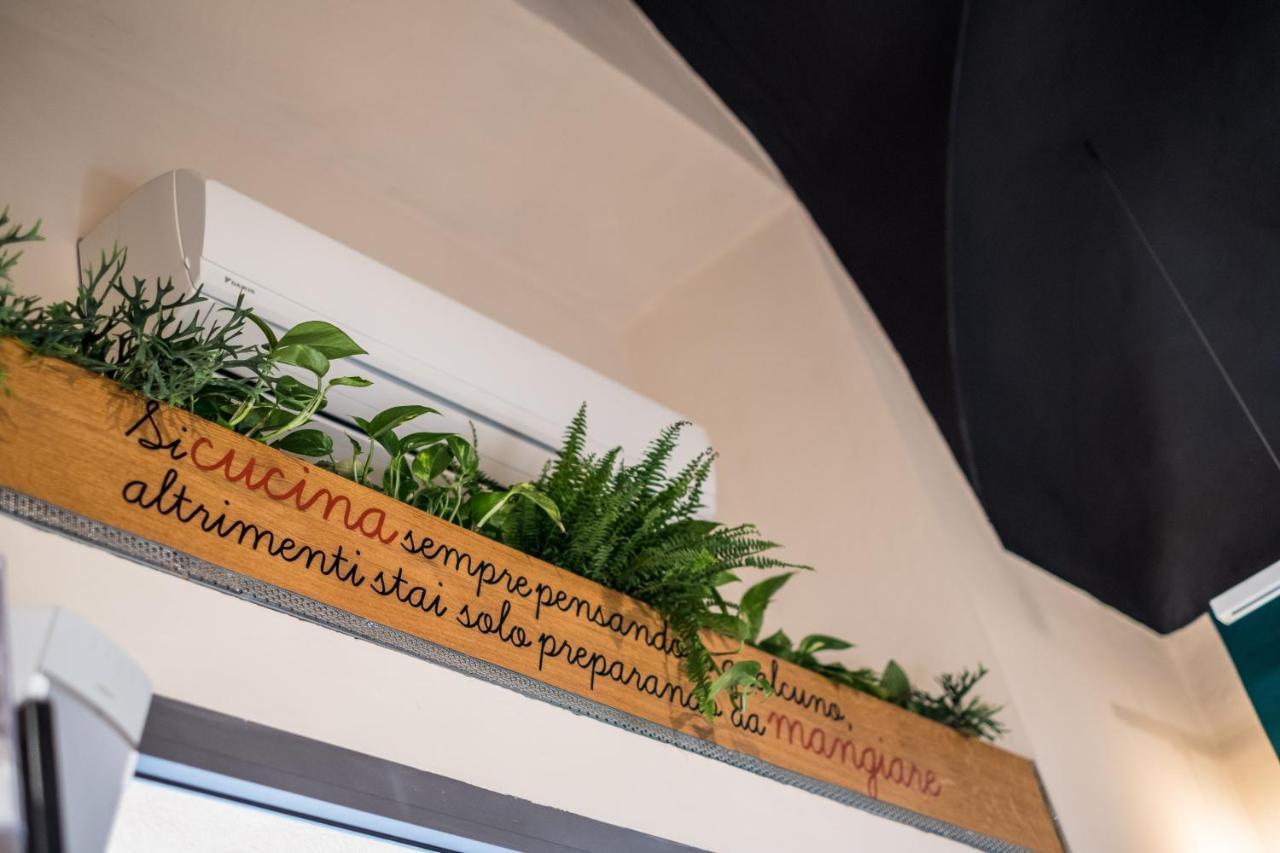 Duomo Guesthouse Piacenza Zewnętrze zdjęcie